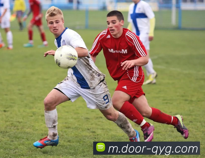 多媒体互动体验