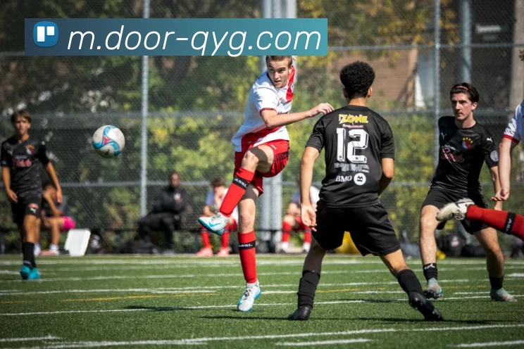 奇异果体育APP 高清赛事图